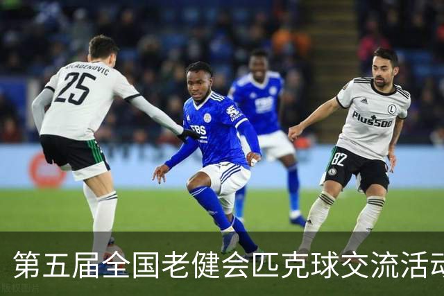 第五届全国老健会匹克球交流活动长沙启幕 全国32支代表队以球会友